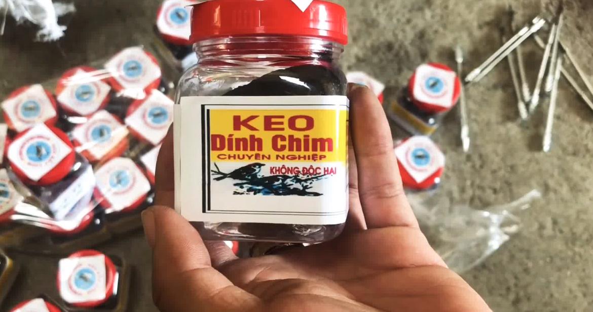 Keo bẫy chim Siêu Dính