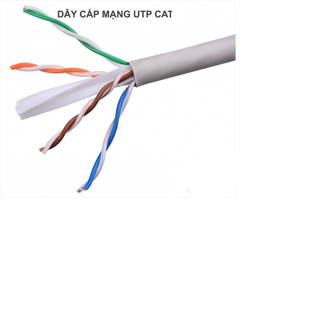 Dây Cáp Mạng LAN 2 Đầu Đúc Sẵn Dài 10M