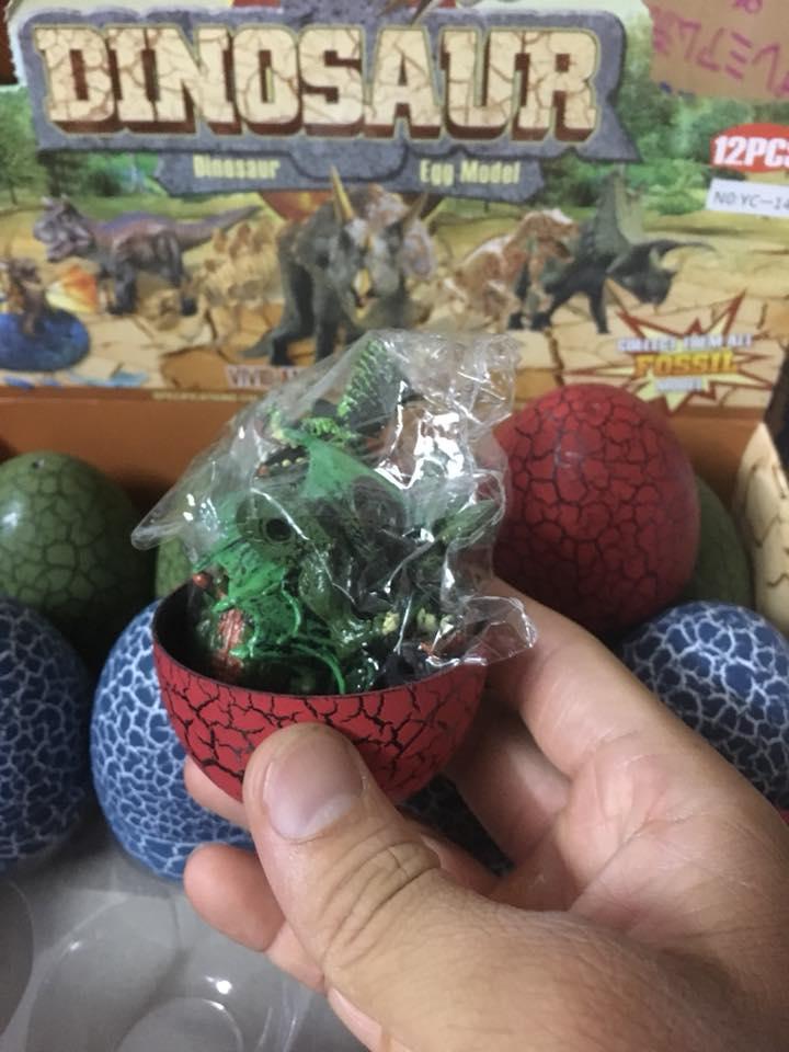 Mô hình trứng khủng long lắp ráp