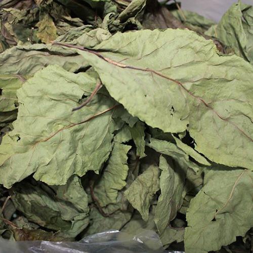 Lá Mật Gấu Tấn Phát loại 1kg