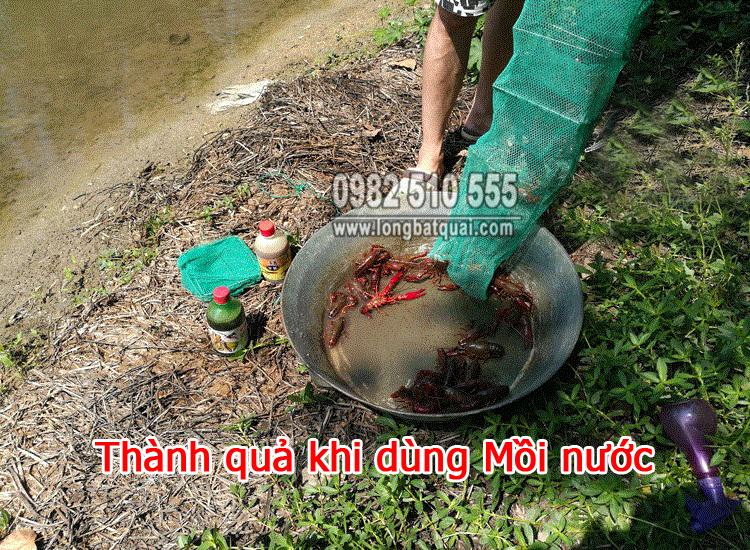 Mồi Tôm Lươn Trạch Dạng Nước - 500ML A Cường