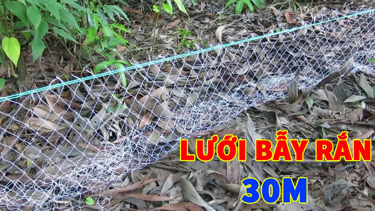 Lưới bẫy rắn dài Từ 20M đến 100M ( Đặt theo yêu cầu )