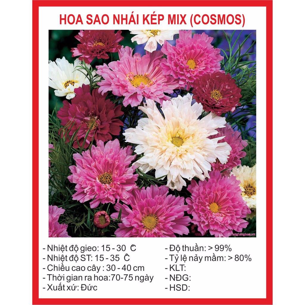 [Lấy mã giảm thêm 30%] Hạt giống Hoa Cúc Sao Nhái Kép (50 hạt)