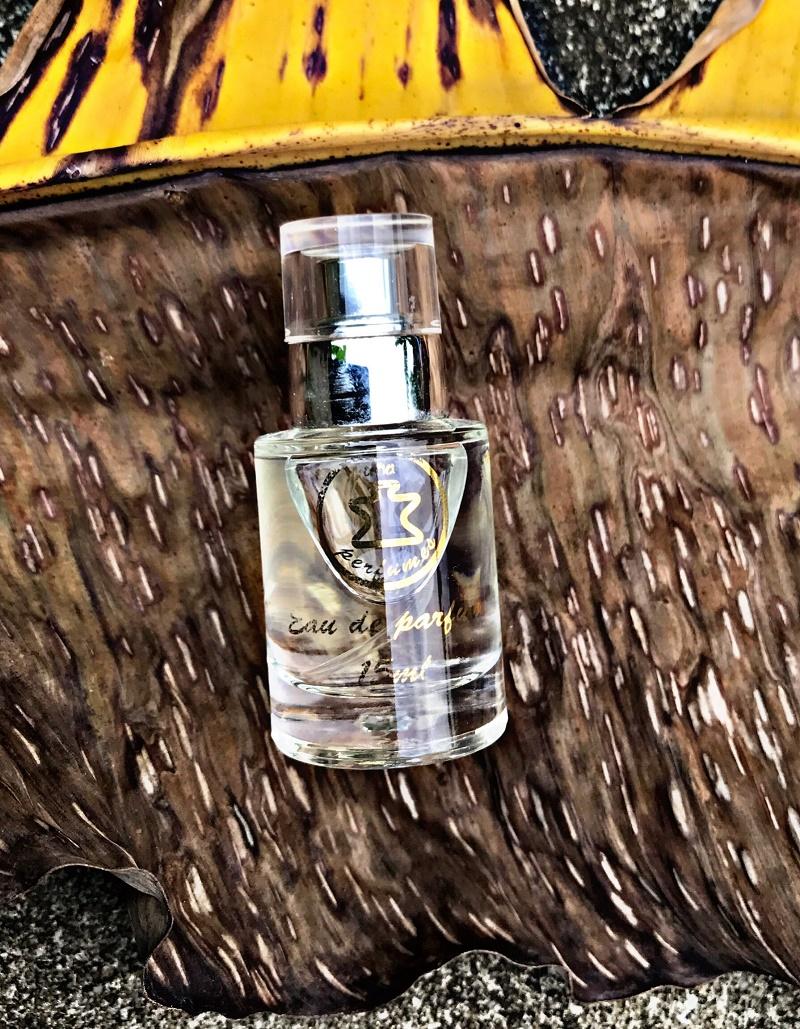 [HCM]Nước hoa nam AHAPERFUMES AHA879 Boss 15ml