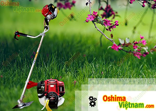 Máy Cắt Cỏ Oshima TW 35