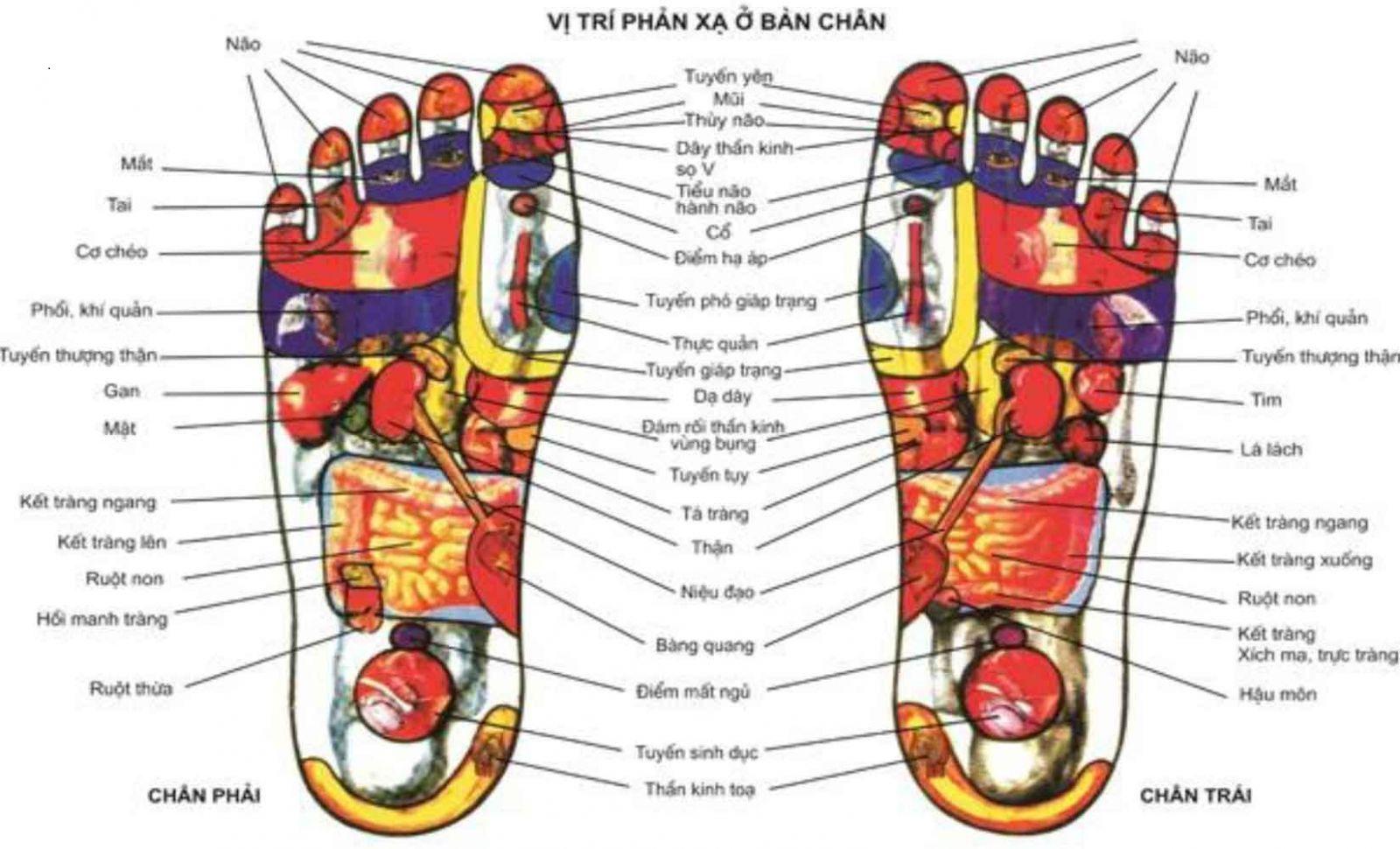 Hộp Đèn Đá Muối Massage Nhập Khẩu Pakistan