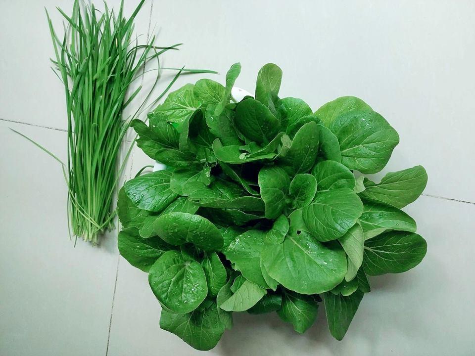 Hạt Giống cải bẹ Trắng