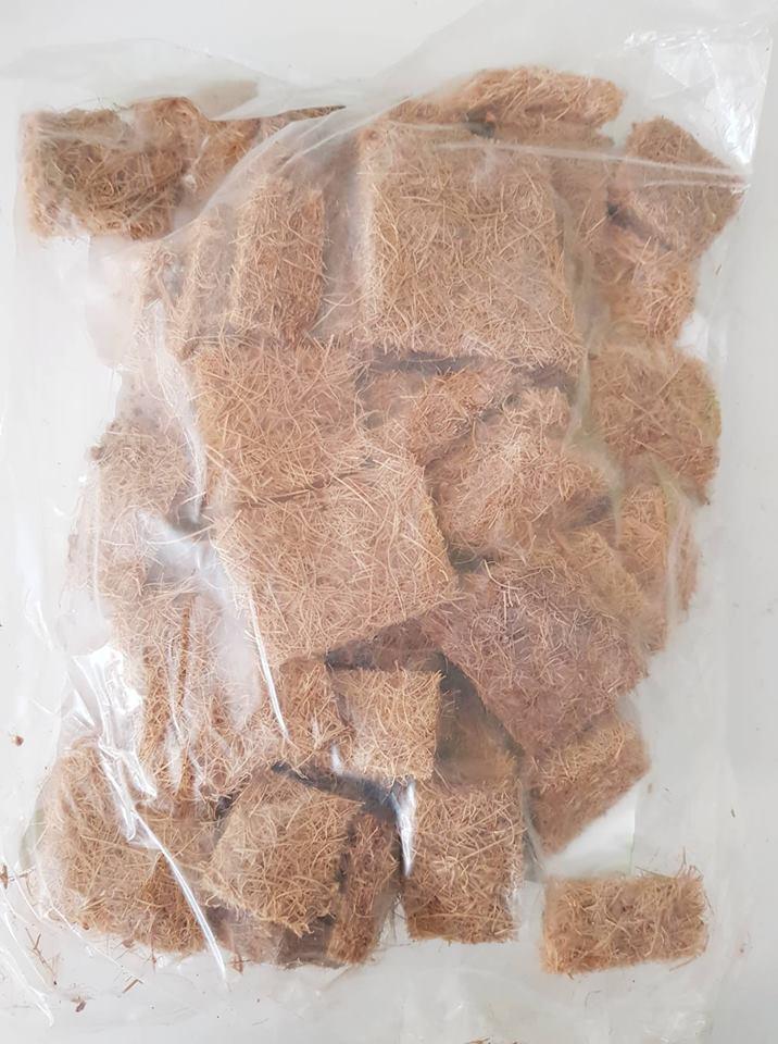 Sơ dừa miếng chuyên trồng lan