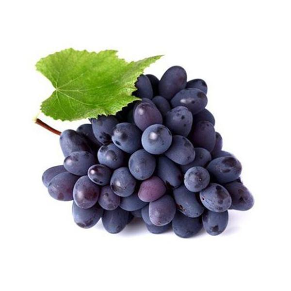 Sinh Tố Berrino Nho đen (Blackcurrant Crush) 1L
