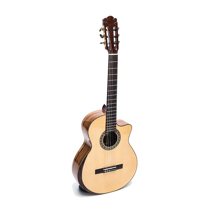 ĐÀN GUITAR CLASSIC DC600