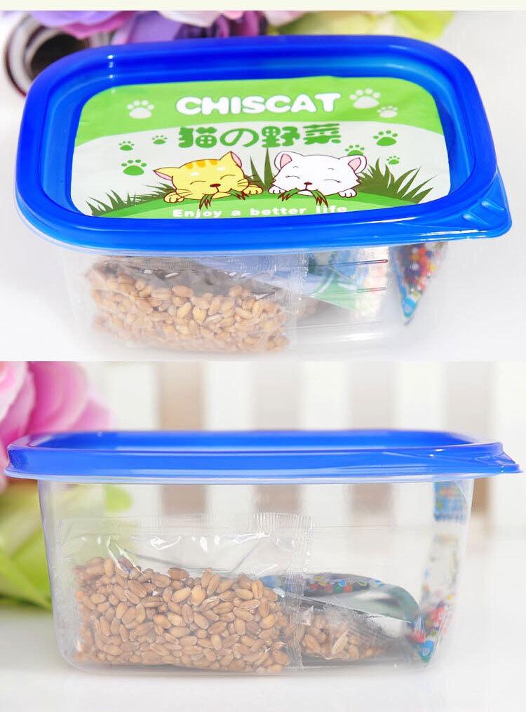 [HCM]Cỏ cho mèo