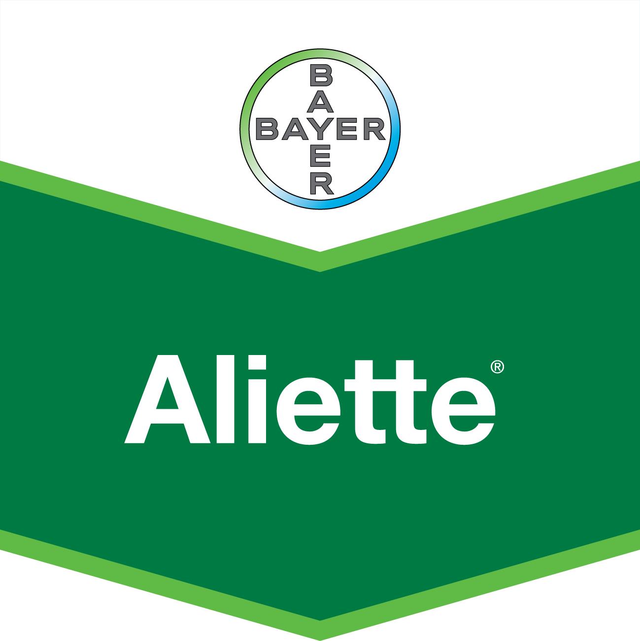 Aliette 800WG -  Trừ bệnh do vi khuẩn (100g/gói)