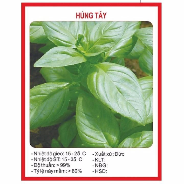 Hạt giống rau húng tây F1 gói 1 gr xuất xứ Đức