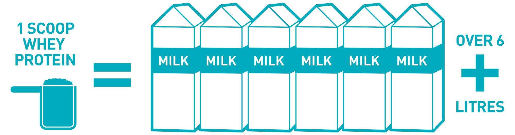 [HCM]WHEY PROTEIN CONCENTRATE