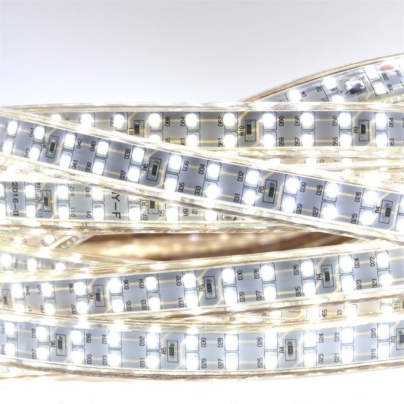 Đèn led dây đôi 2835 - 10 mét - có dây nguồn