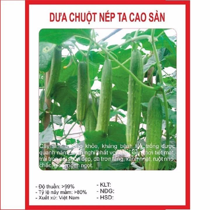 Hạt giống dưa chuột nếp ta cao sản gói 10 hạt