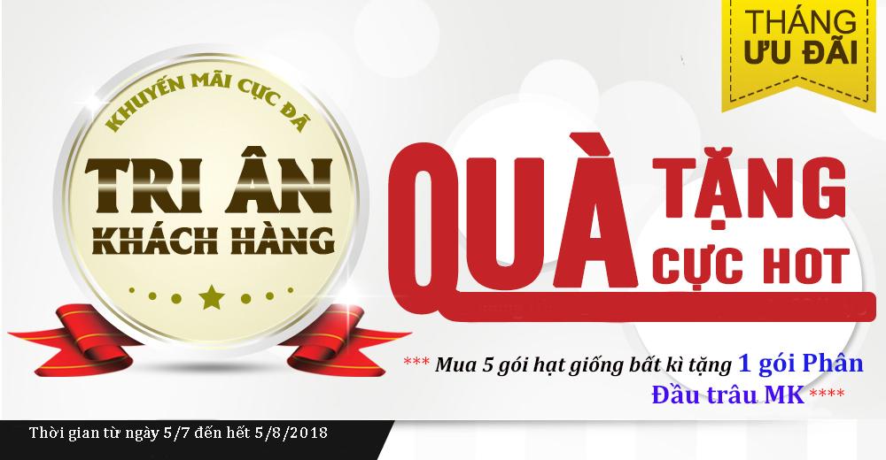 [HCM]Hạt giống rau quế lá to Phú Nông-5g