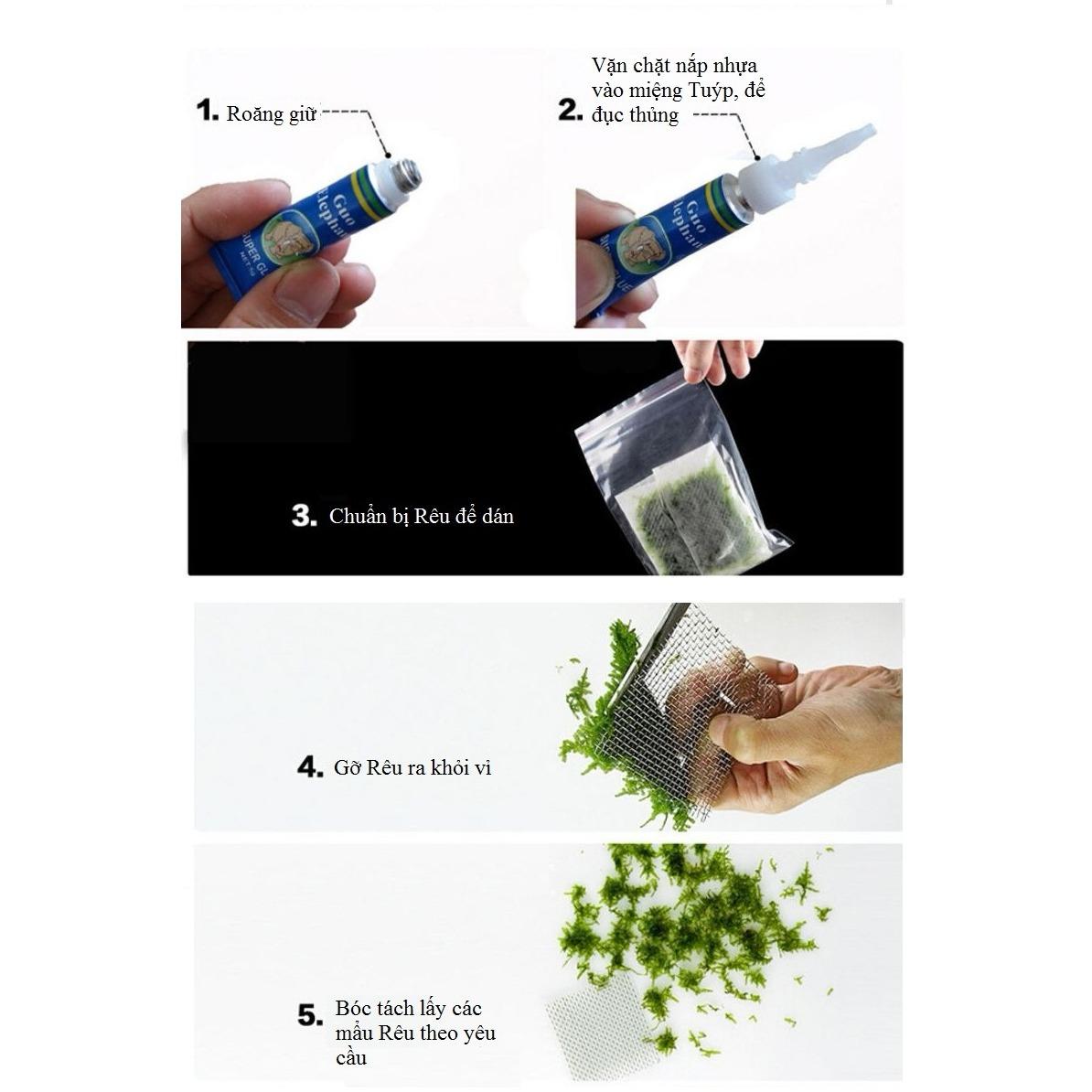 Keo dán rêu thủy sinh chuyên dụng (1 tuýp)