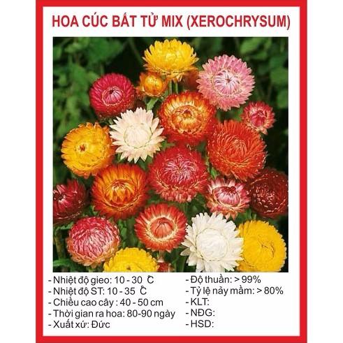 [Lấy mã giảm thêm 30%] Hạt Giống Cúc Bất Tử (100 hạt)