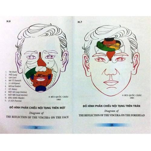 [HCM]Thanh lăn sừng đơn lớn diện chẩn