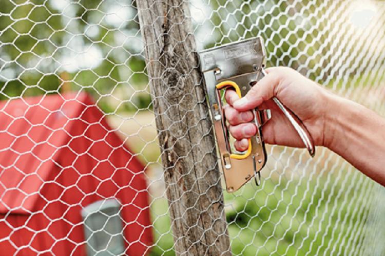 Hộp 5000 ghim bắn gỗ Tự Lực 16/6