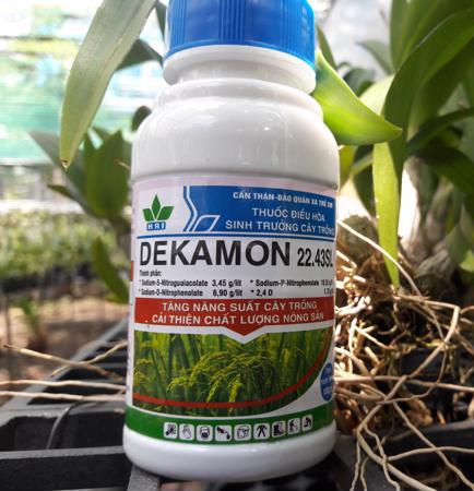 DEKAMON 22.43L Kích rễ, Đâm chồi cây lương thực, cây kiễng, phong lan