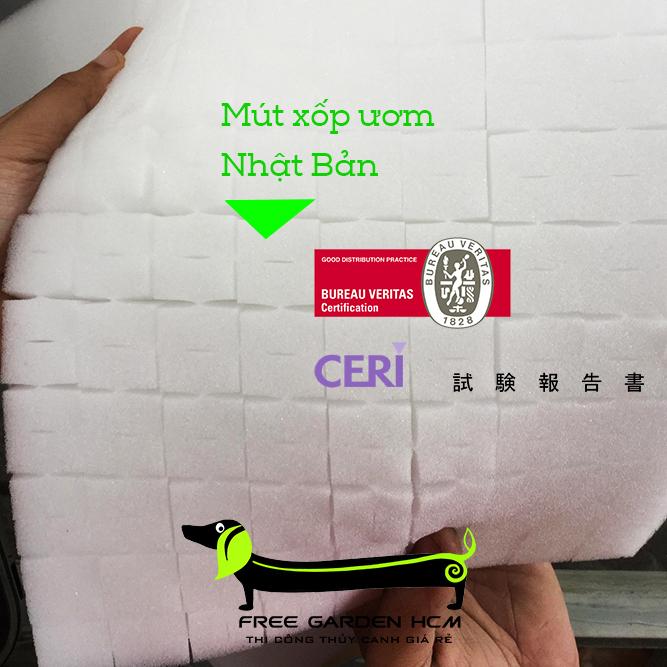 COMBO 540 VIÊN MÚT XỐP ƯƠM HẠT - NHẬT BẢN CẮT RÃNH
