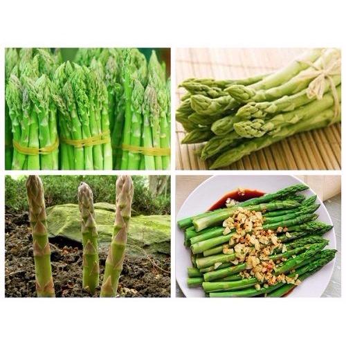 [Lấy mã giảm thêm 30%] Hạt giống Măng Tây xanh (15 hạt)