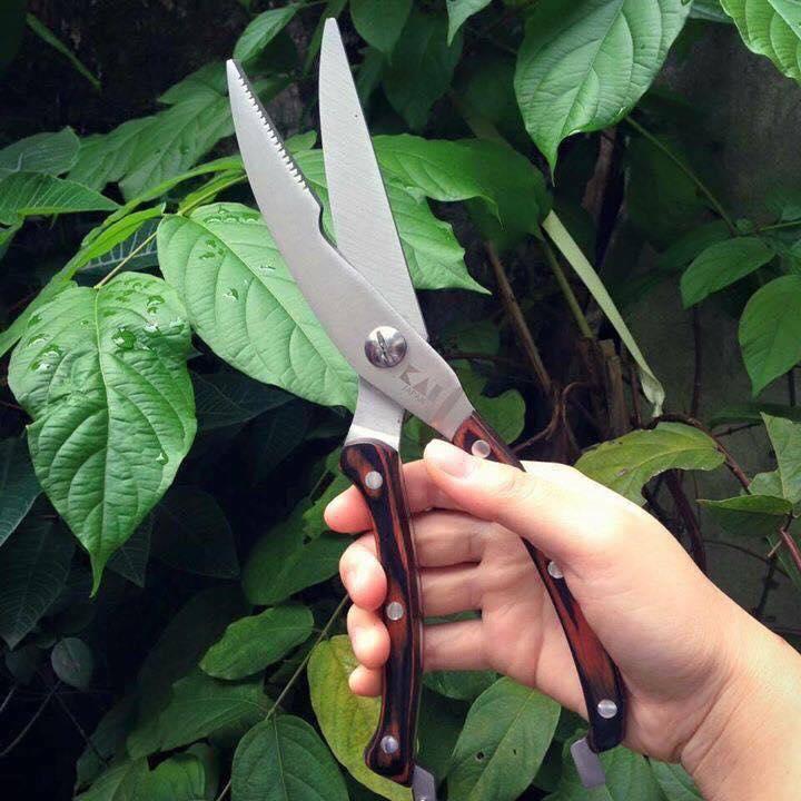 KÉO CẮT GÀ KAI
