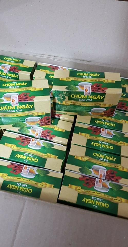 Trà túi lọc chùm ngây sạ đen linh chi