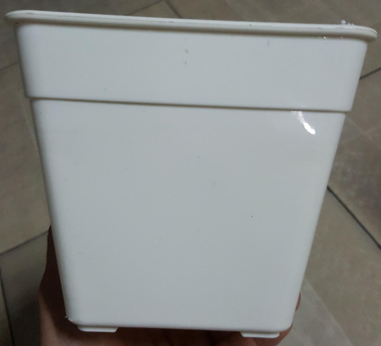 Chậu Vuông 14x12 (set 50 cái)