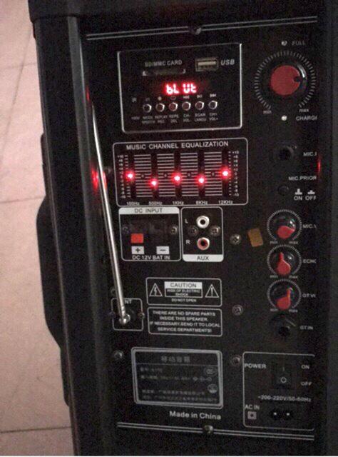 Loa Temeisheng 297L (DP-297L)