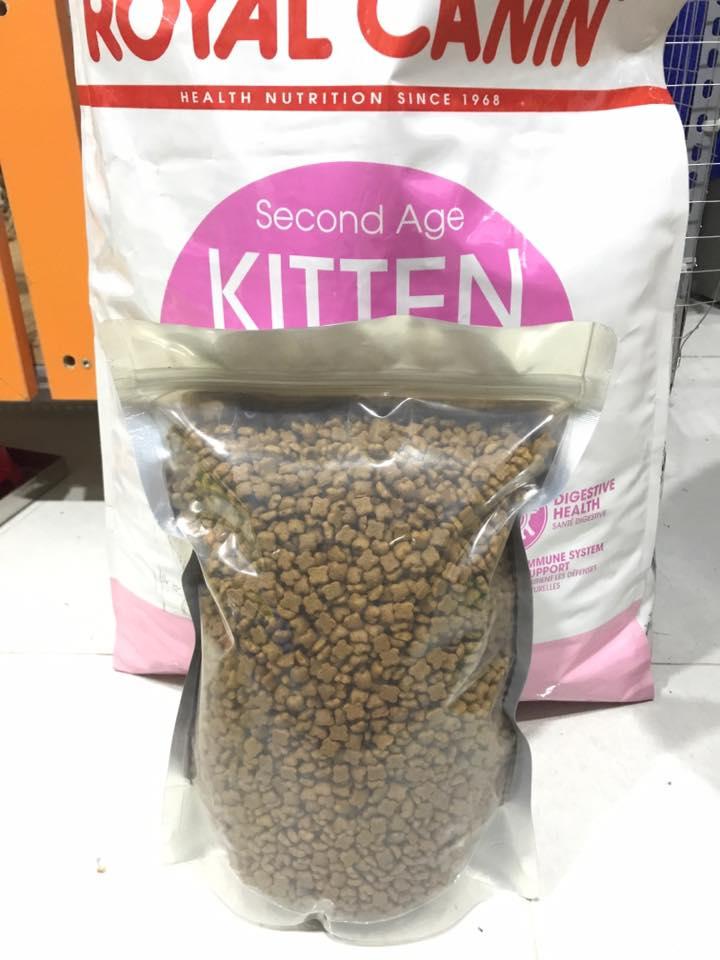Thức ăn hạt khô Royal canin kitten 36 cho mèo con