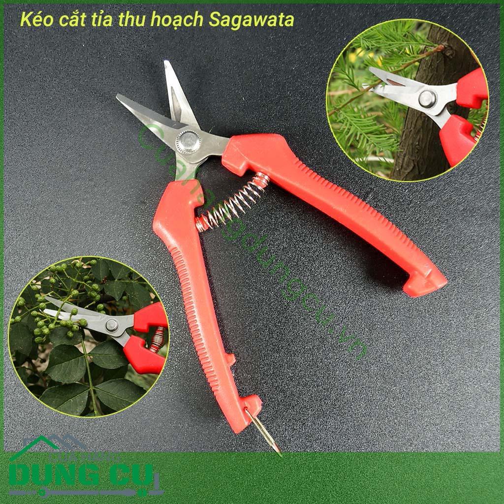 Kéo cắt tỉa thu hoạch lưỡi cong P916