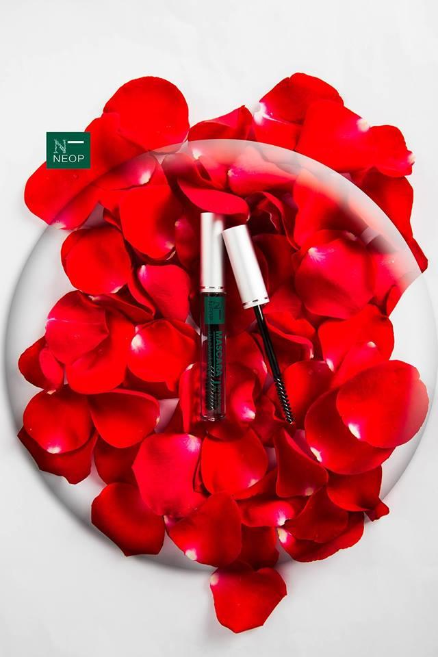 NEOP MASCARA giúp cong và dài mi