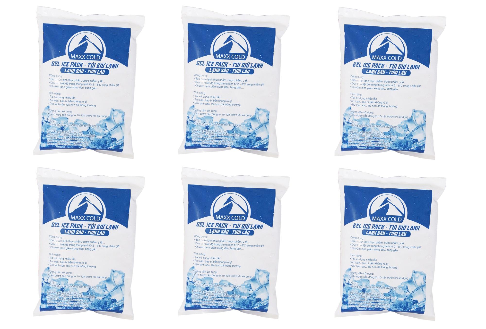 Bộ 6 túi đá khô giữ lạnh tiện dụng 500gr/túi