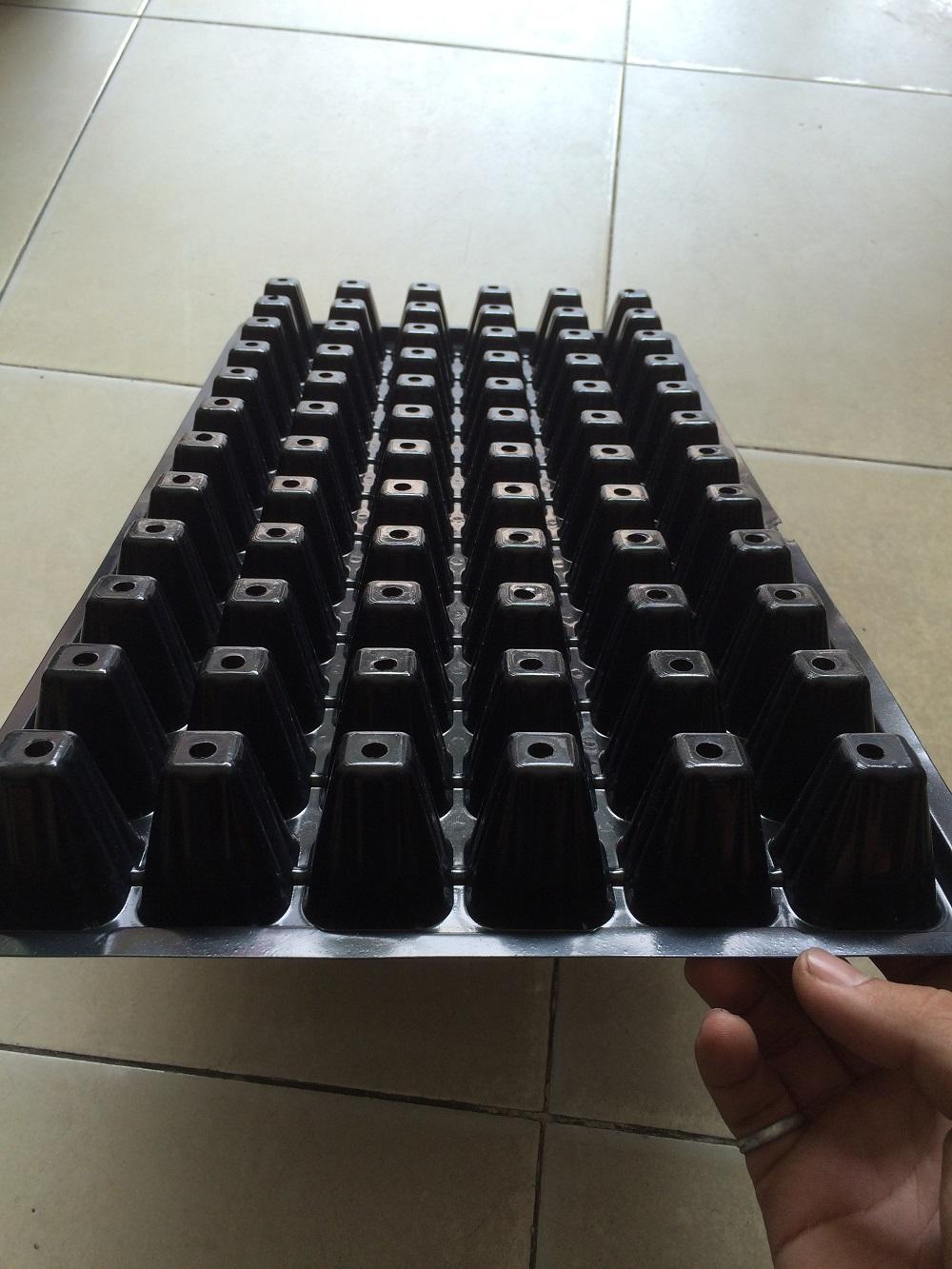 Bộ 5 khay ươm hạt giống 72 lỗ