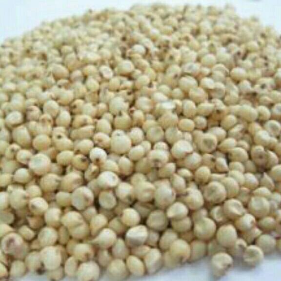 Hạt ý dĩ 1kg