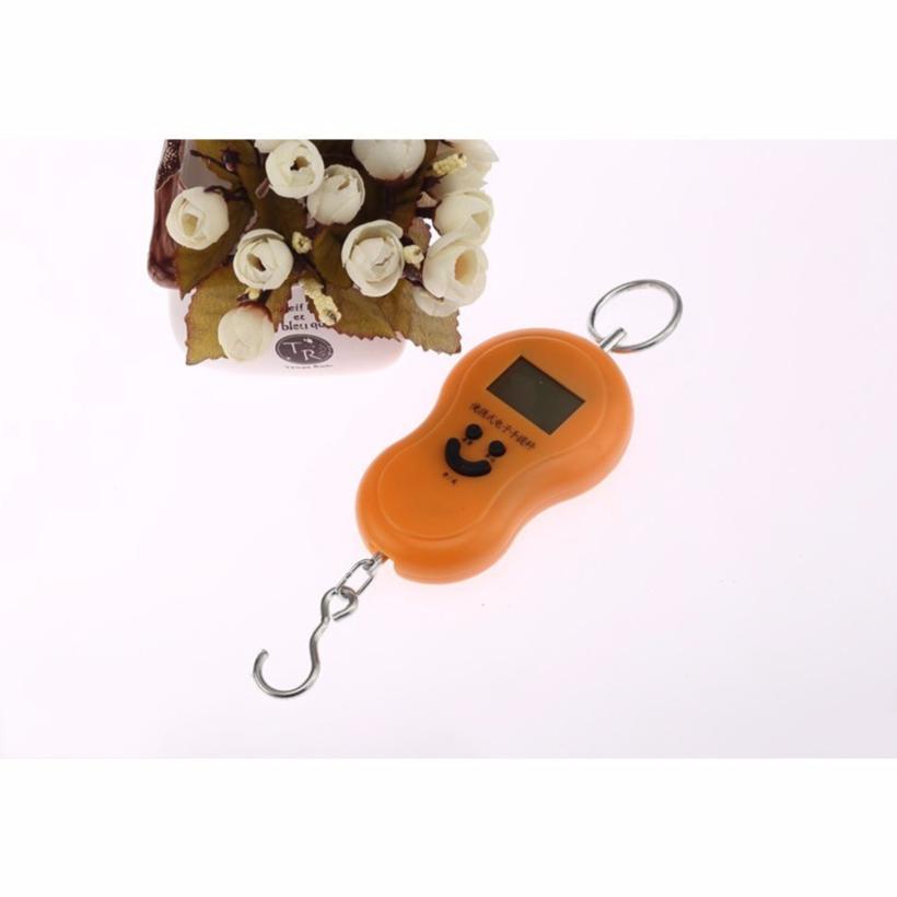 Cân điện tử cầm tay mini