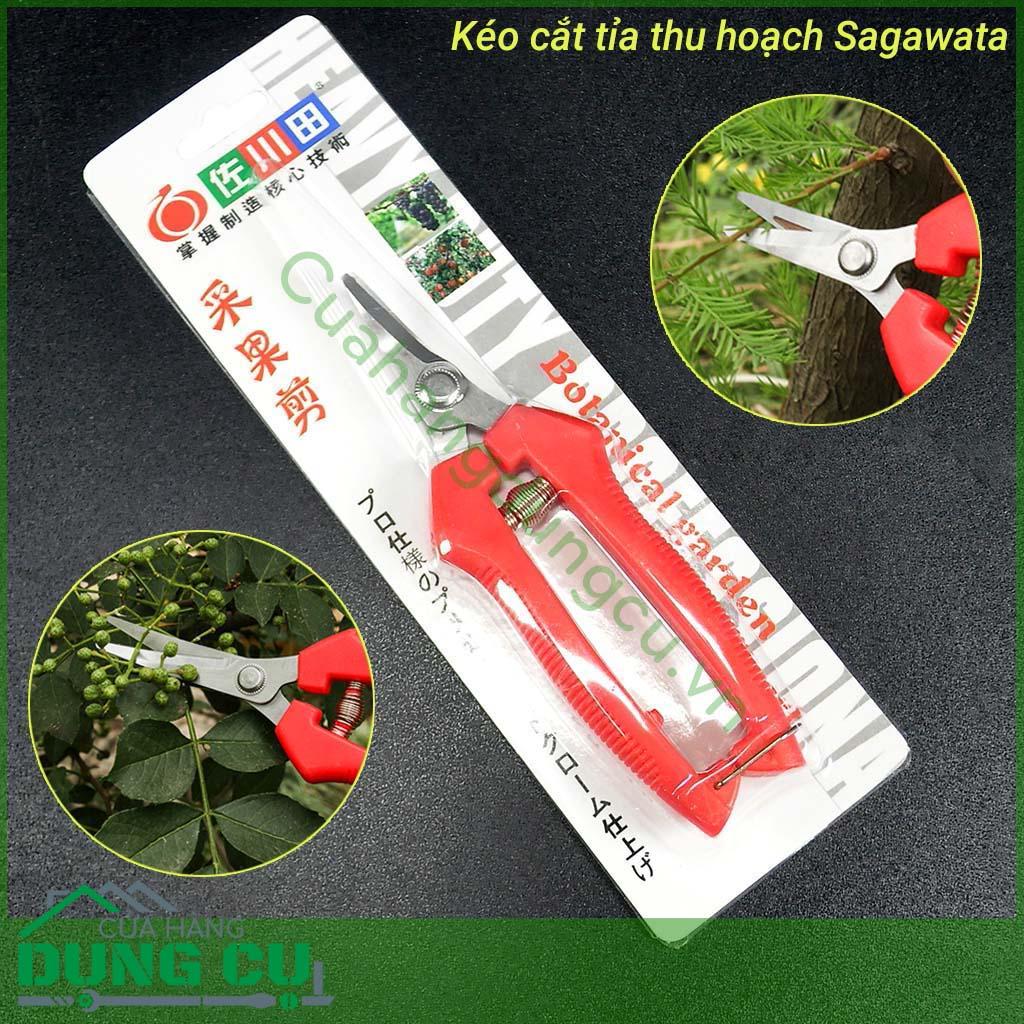 Kéo cắt tỉa thu hoạch lưỡi cong P916