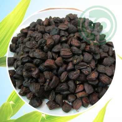 Quả mắc mật rừng Tây bắc 100g khô