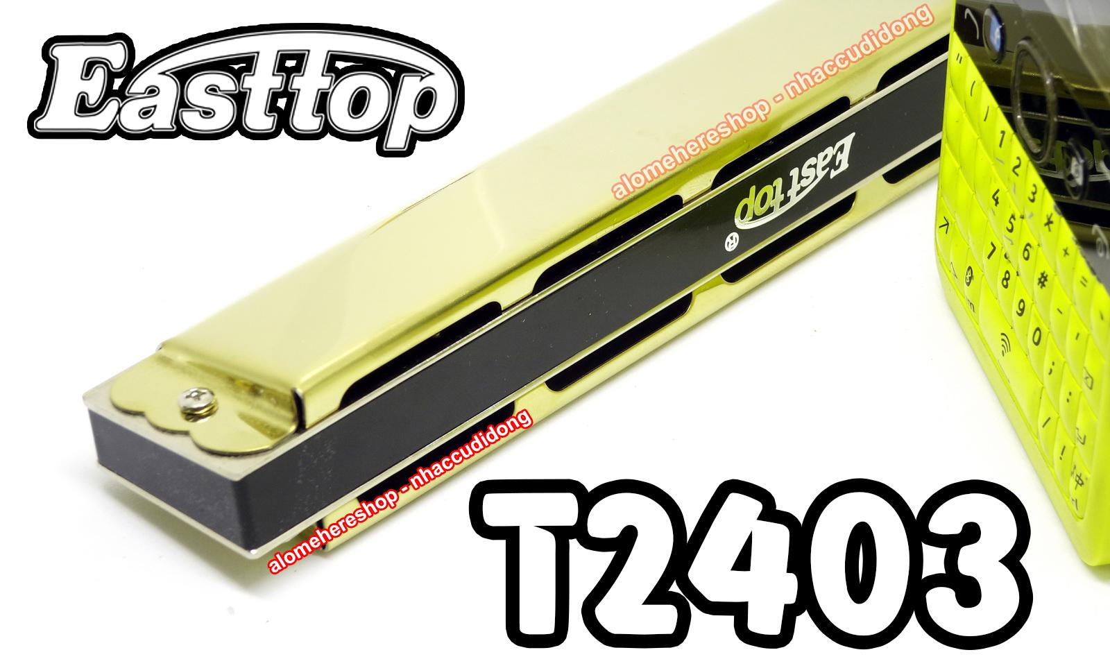 Kèn harmonica tremolo Easttop T2403 Key C