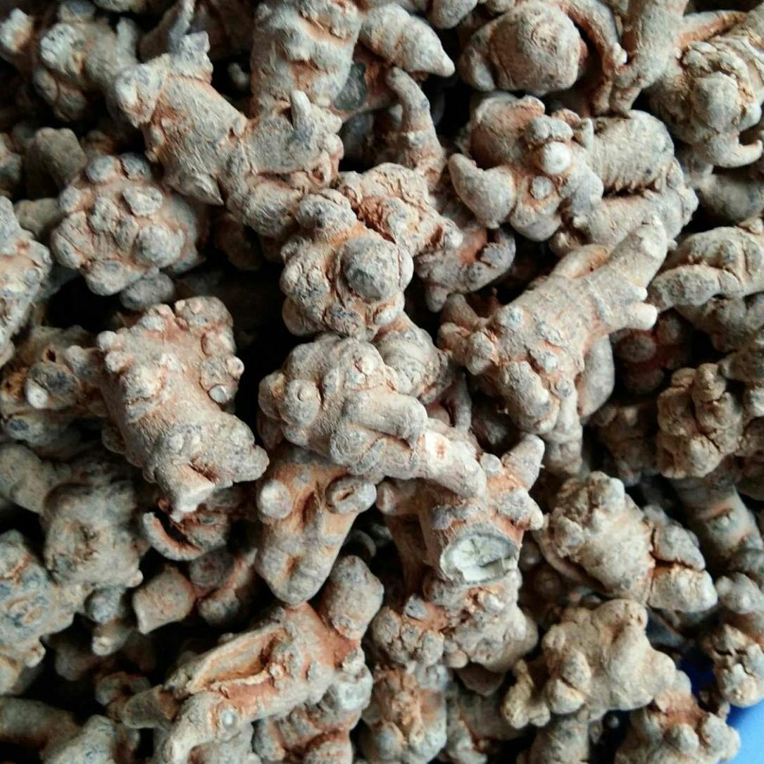 500g củ tam thất bắc