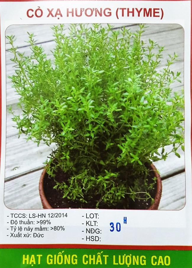 [HCM]HẠT GIỐNG CỎ XẠ HƯƠNG SV (THYME)-KLT 30 hạt .