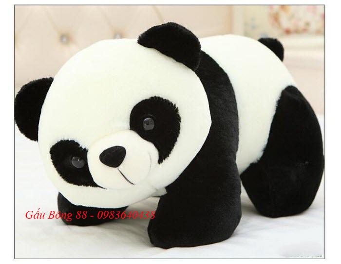 Gấu bông gấu trúc nằm size 60 cm ( như ảnh thật )