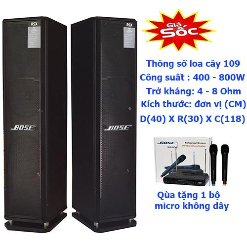 Loa đứng karaoke RXS 109 (tặng micro không dây)