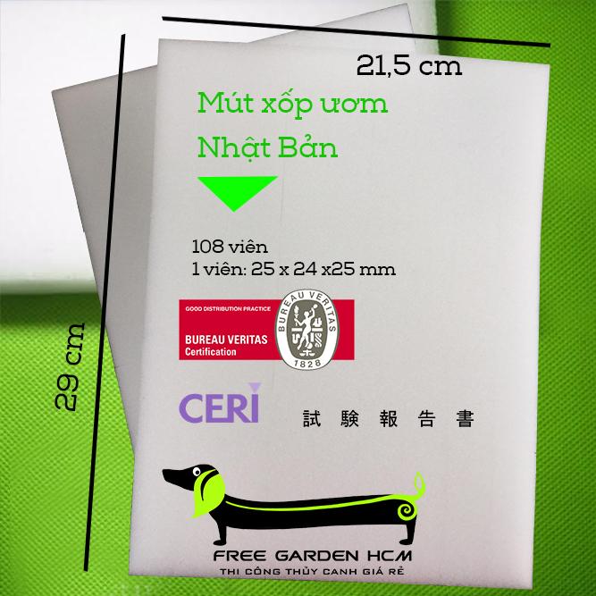 COMBO 540 VIÊN MÚT XỐP ƯƠM HẠT - NHẬT BẢN CẮT RÃNH