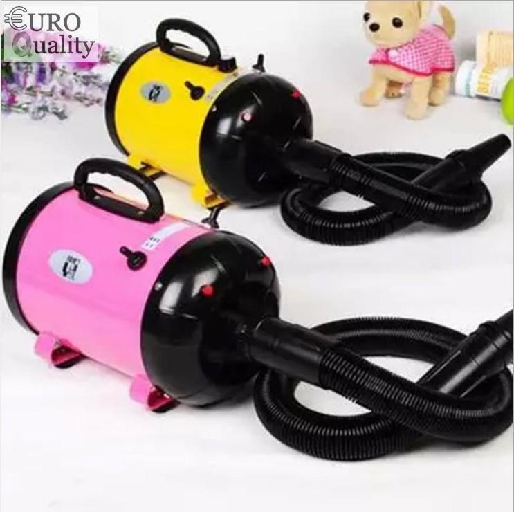 Máy sấy lông chó mèo chuyên dụng tặng kèm bộ sản phẩm chăm sóc đặc biệt cs 2400w - euro quality