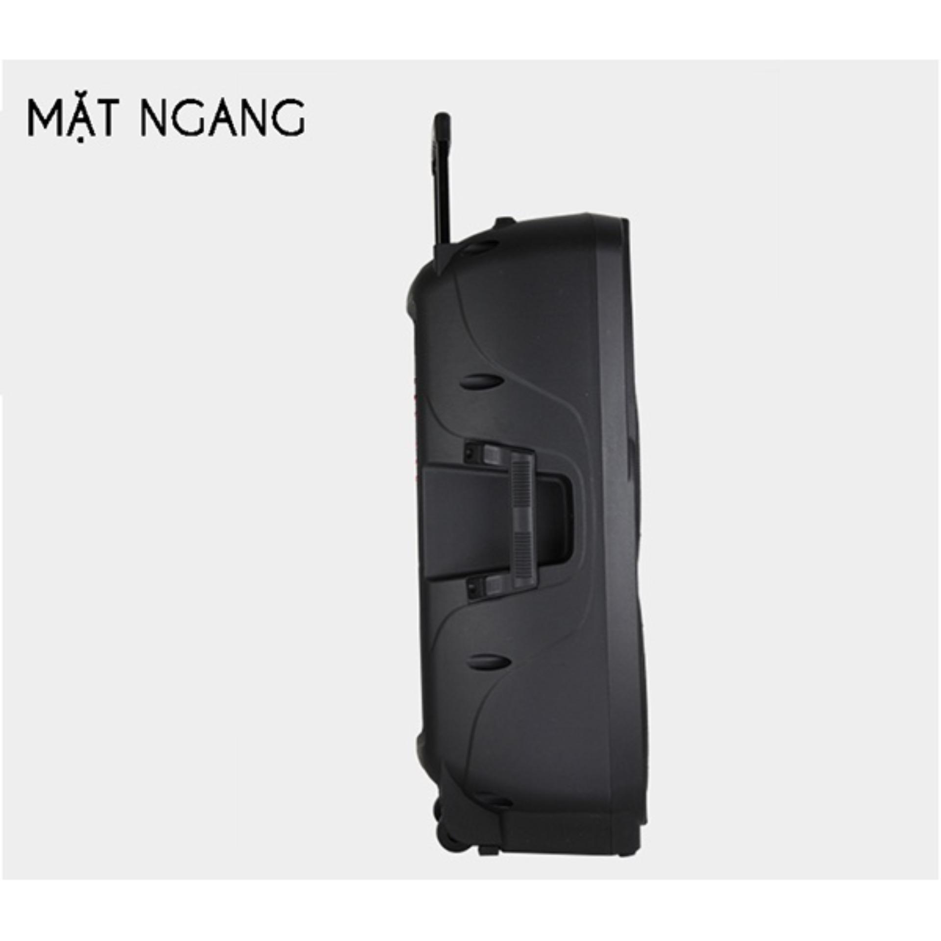 [HCM]Loa kéo bluetooth Temeisheng A73 (Đen)