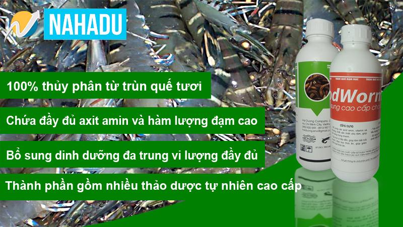 DỊCH TRÙNG QUẾ CHO LƯƠN,CÁ - 2 CHAI 1L